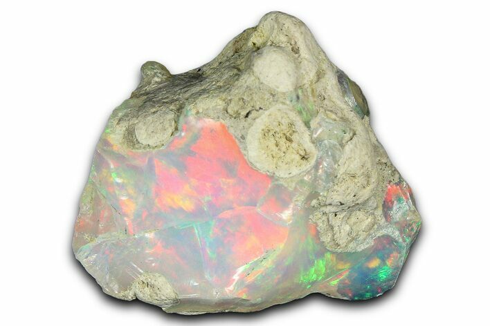 Brilliant Precious Ethiopian Fire Opal ( grams) #367325